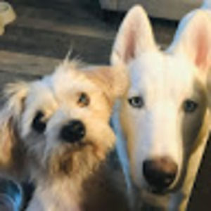 Meet your Posher, Peighton